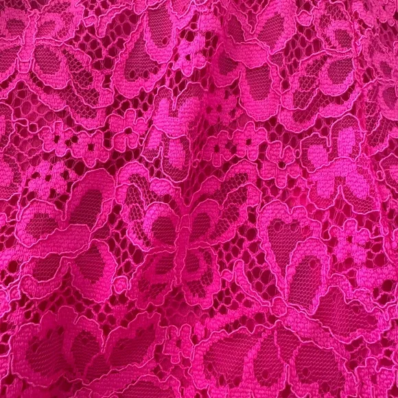 NWT For Love And Lemons Beautiful Pink Lingerie Lace Butterflies Size Small - Picture 6 of 9